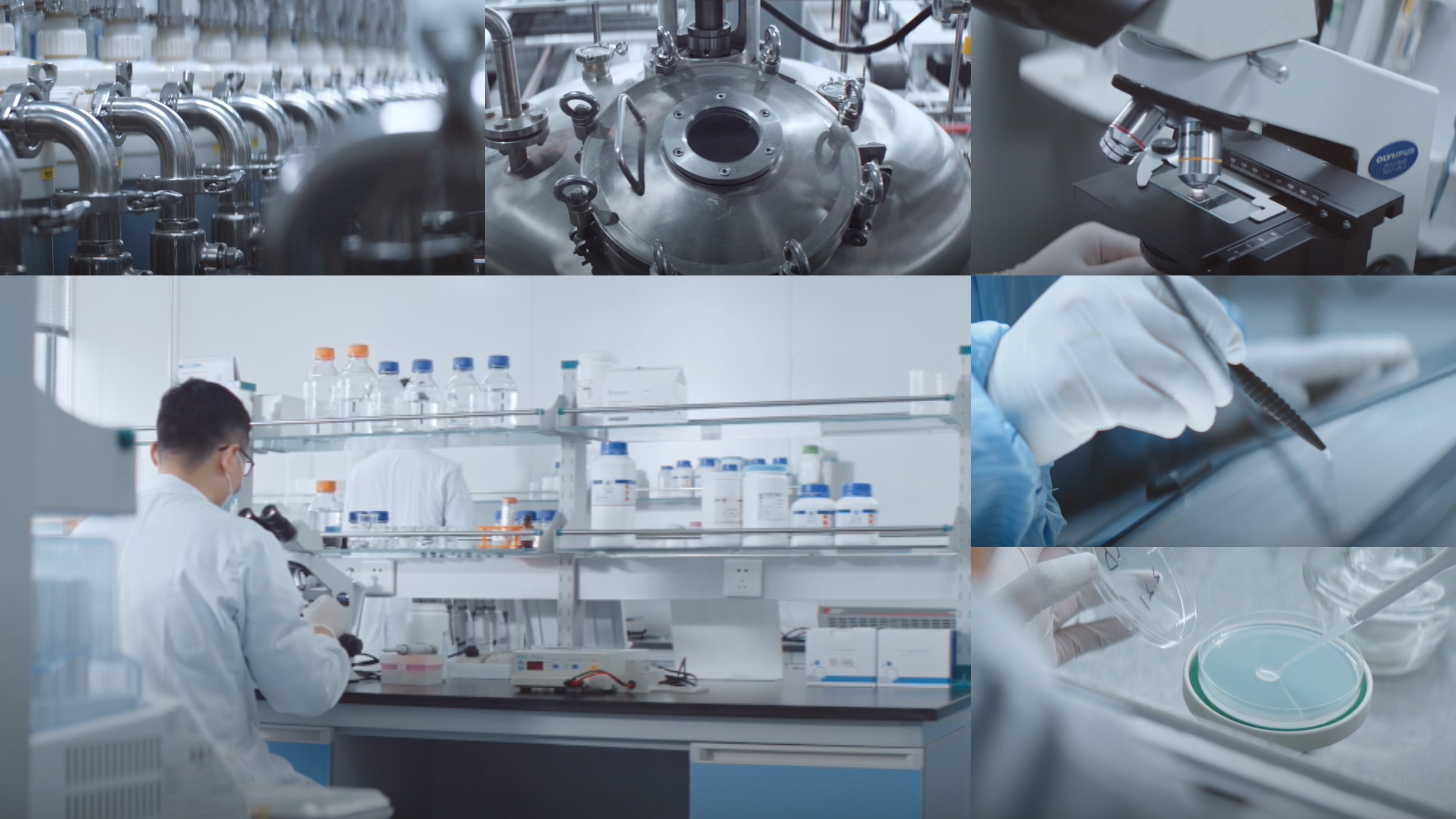 银娱优越会医疗重组XVII型胶原荣获个人护理品行业荣格技术创新奖