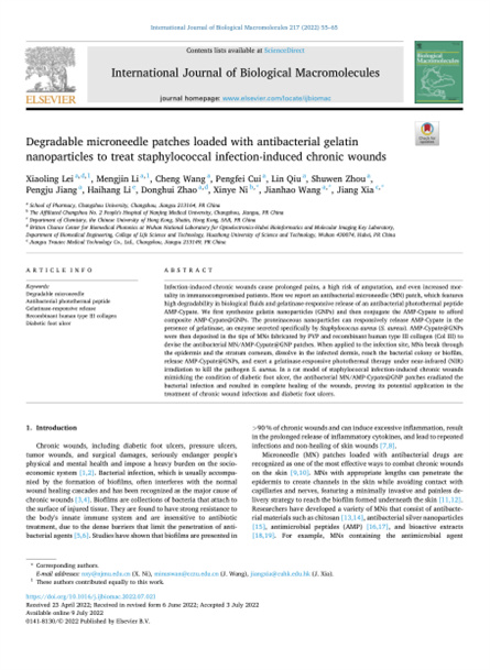 2022 动物研究，重组胶原微针，用于慢性伤口