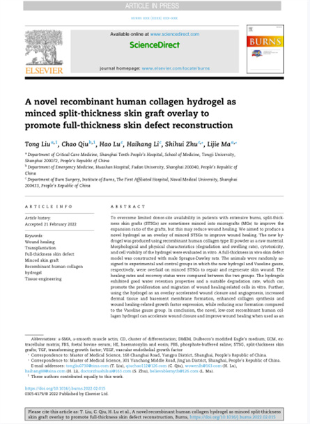 2022 动物研究，重组胶原用于微粒皮移植覆盖