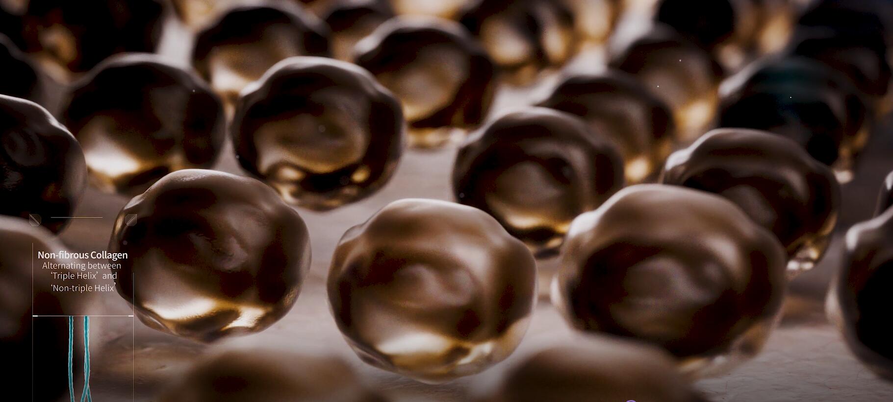 新闻 | 银娱优越会医疗重组XVII型胶原功效探索，助力头皮“年轻态”新选择